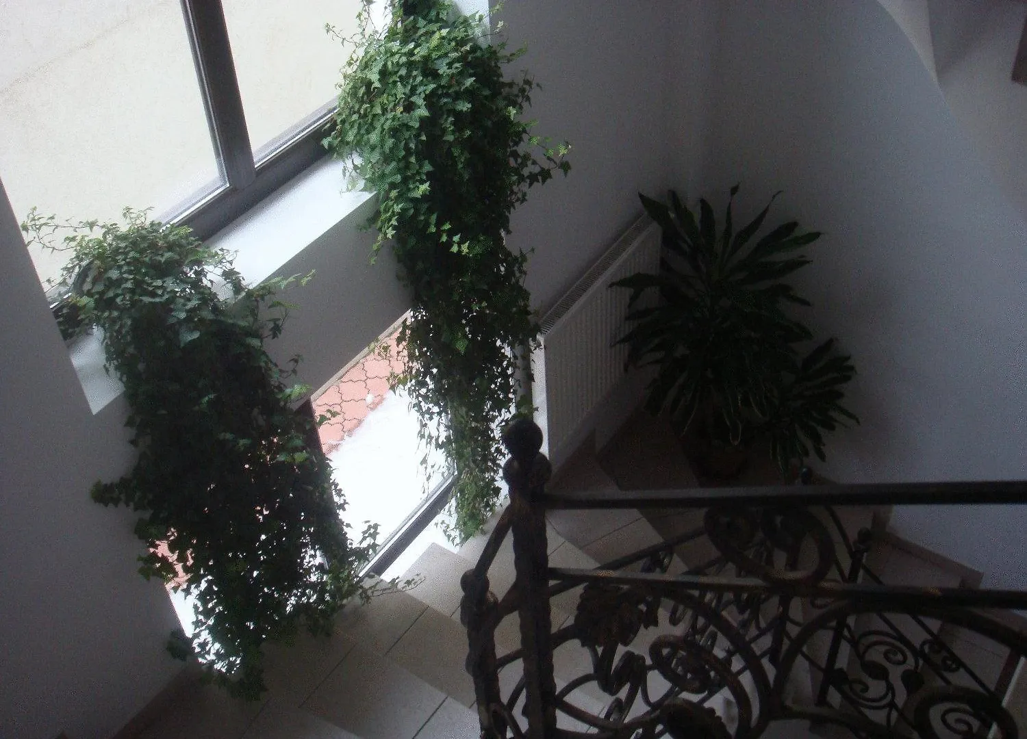 Villa Edera Residence - Gazda Profesionista Bucarest Romania
