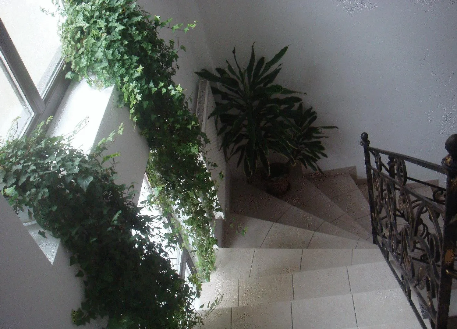 Villa Edera Residence - Gazda Profesionista Bucarest Aparthotel
